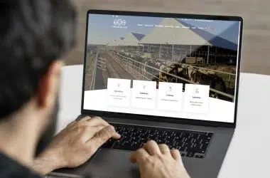 Diseño Web Institucional Corporativo Uruguay